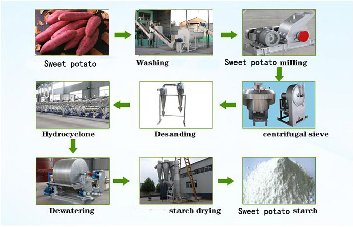 features-of-sweet-potato-starch-production-process