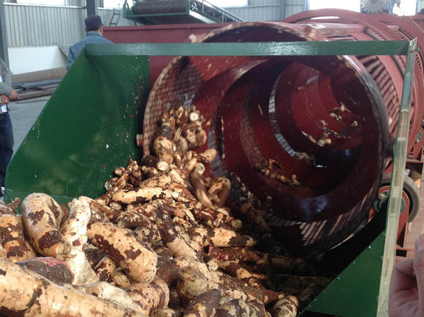 before-operating-the-cassava-starch-processing-equipment.jpg