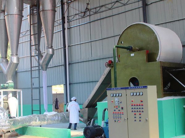 What-are-the-factors-for-establishing-a-cassava-starch-production-plant.jpg