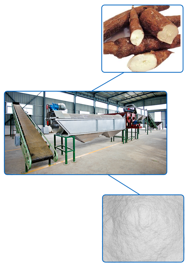 What-are-the-factors-for-establishing-a-cassava-starch-processing-plant.png